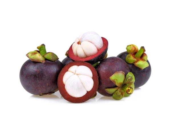 MĂNG CỤT LÁI THIÊU
