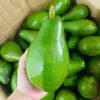 Bơ Mã Dưỡng - Ảnh 3